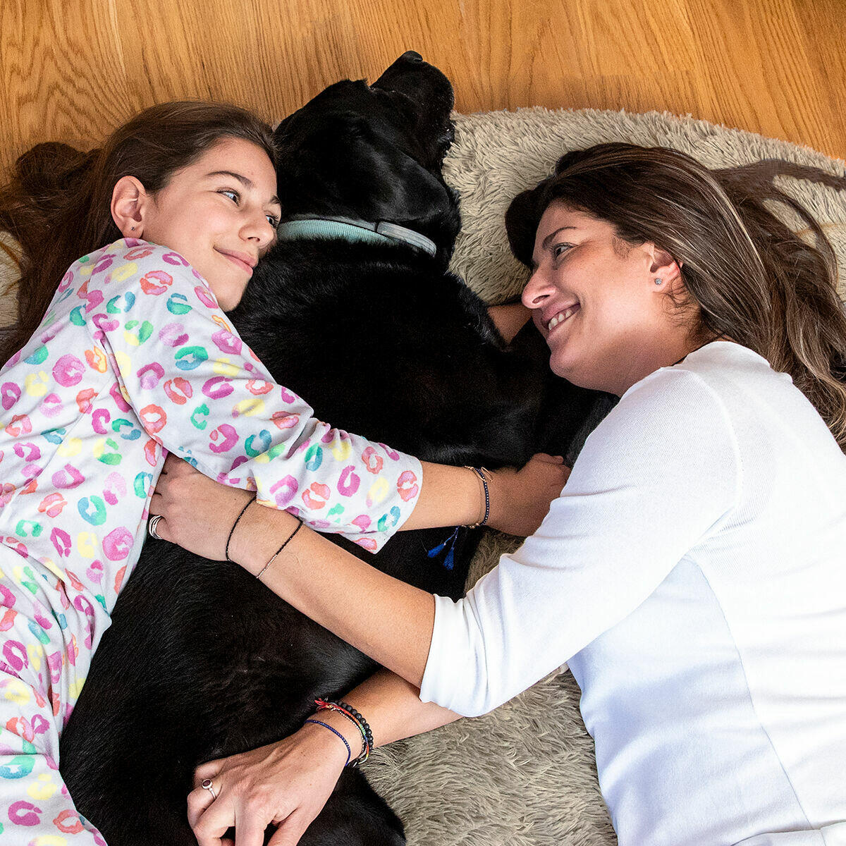 Cama de Perro para Humanos  XXL